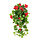 Hanggeranium Geranium Cascade Hanging Bush Red 72 cm
