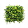 Vegetatie varen lineos kruid kunsthaag 50 x 50 cm