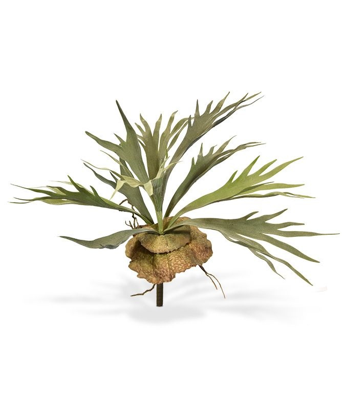 Hertshoorn boeket Fragile 40 cm
