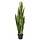 Sanseveria kunstplant Bont 110cm in pot