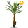 Phoenix Palm Deluxe 170 cm UV