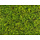 Kunstmos spring green kunstmoswand 50x50cm