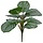 Calathea Orbifolia kunstboeket 30cm groen/grijs