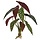 Begonia Maculata kunstboeket 35cm