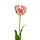 Van Gogh Tulp kunstbloem rood-wit 70 cm