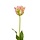 Van Gogh Tulp kunstbloem  groen-roze 70 cm