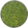 Moscirkel RendiermosMedium Green 45 cm