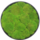 Moscirkel Bolmos Natural Green 45 cm