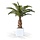 Phoenix Canarie kunstpalm XXL op voet 300cm