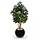 Hortensia op stam 110 cm blauw