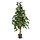 Ficus Exotica kunstplant 120cm groen