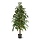 Ficus Exotica kunstplant 150 cm groen
