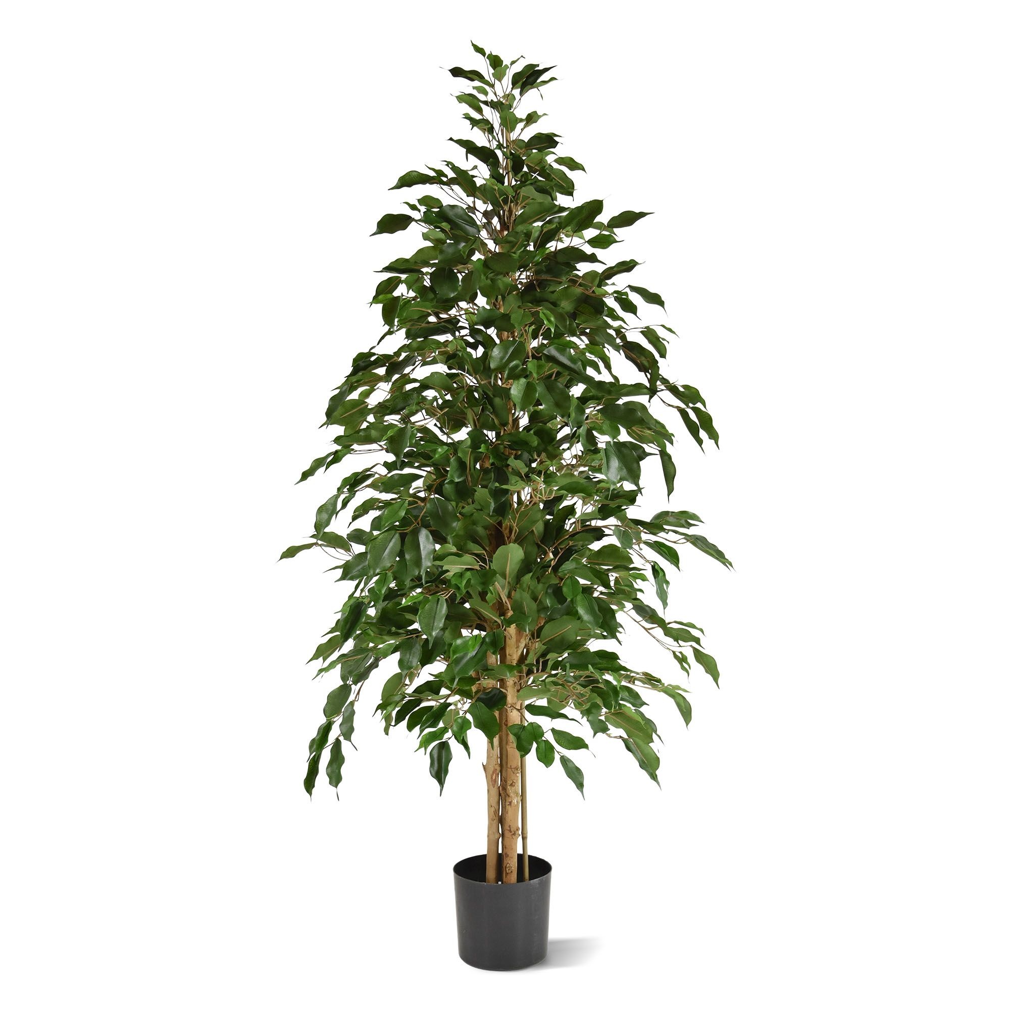 Ficus Exotica Kunstplant Cm Groen Kunstplanten Nl B V