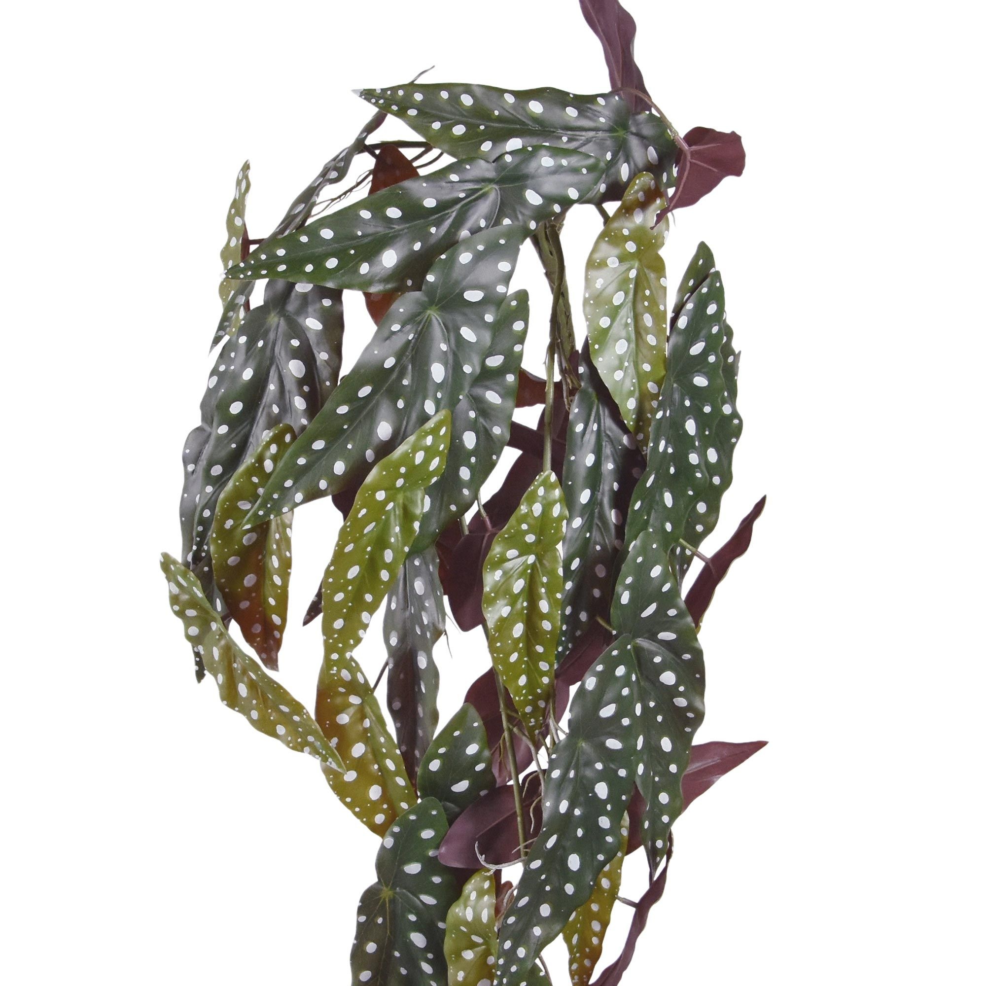 Begonia Maculata kunst hangplant 80cm