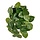 Pilea Peperomioides kunst hangplant 30cm bont