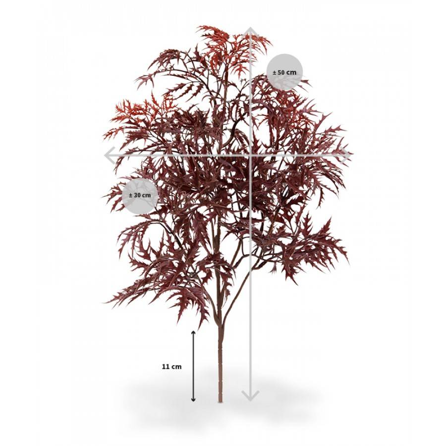 Ming Aralia Tak 50 cm burgundy UV