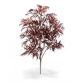 Ming Aralia Tak 50 cm burgundy UV
