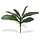 Phalaenopsis blad kunstplant 25cm