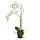 Phalaenopsis Orchidee kunstplant x2 in pot 65cm wit