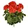 Geranium PL XL kunstplant 40cm -rood - UV bestendig