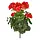 Geranium PL kunstplant 38cm - rood - UV bestendig