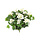 Geranium bush cream uv bestendig, h: 39 cm