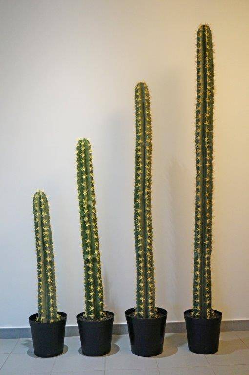 Kolom cactus 206 cm