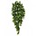 Hedera hangplant 100 cm groen