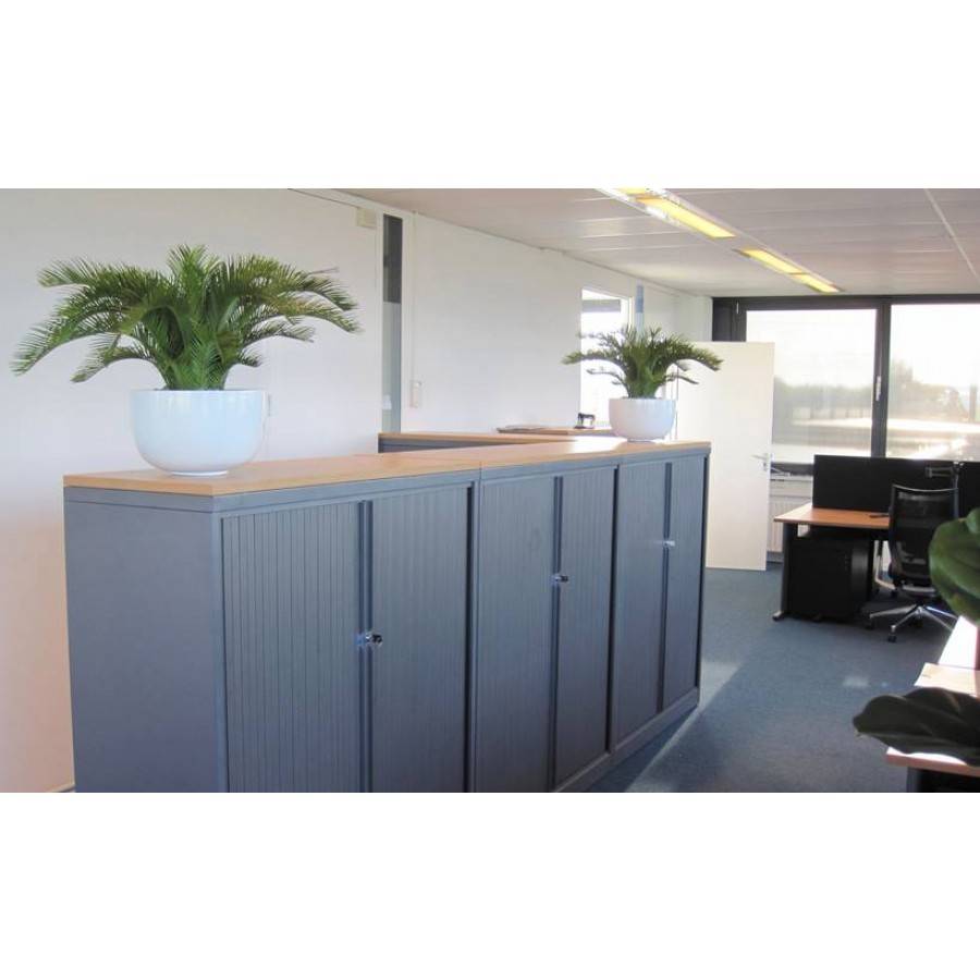 Cycas Palm 60 cm Deluxe UV