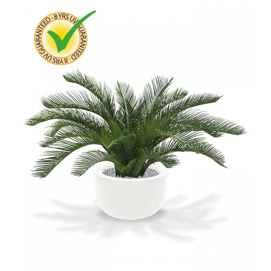 Cycas Palm 60 cm Deluxe UV