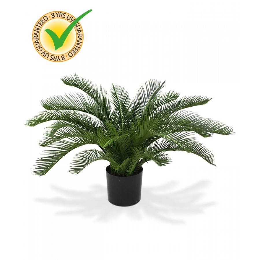 Cycas Palm 60 cm Deluxe UV