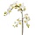 Phalaenopsis Tak XL 110 cm wit
