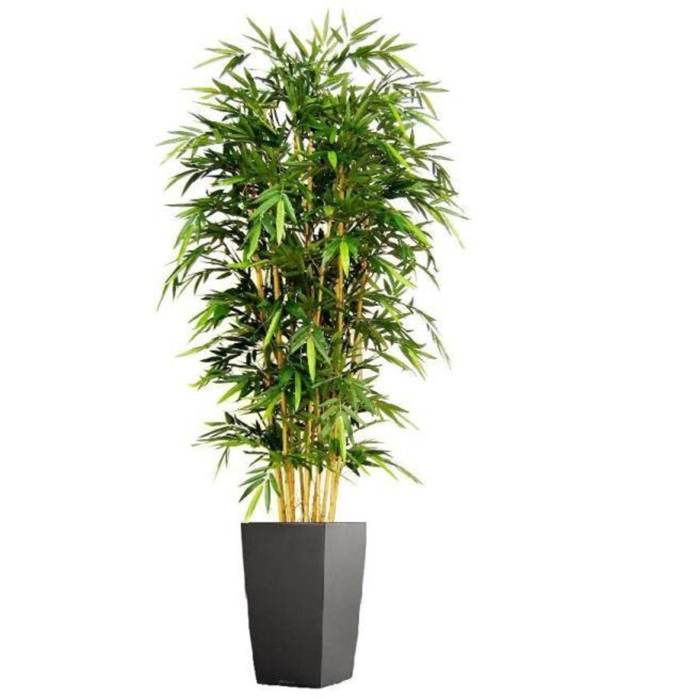 Купить Искусственные Растения В Новосибирске