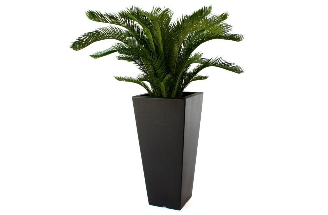 Cycas Palm M 80cm Deluxe