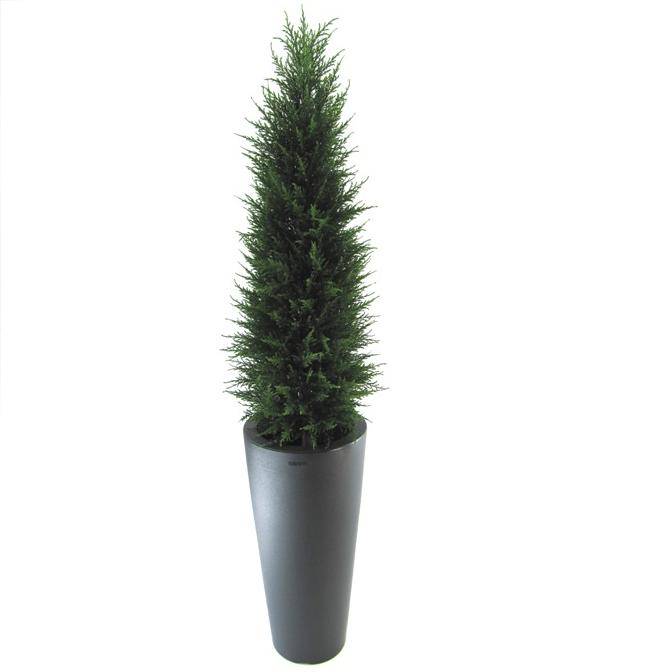 Conifeer Deluxe 120cm