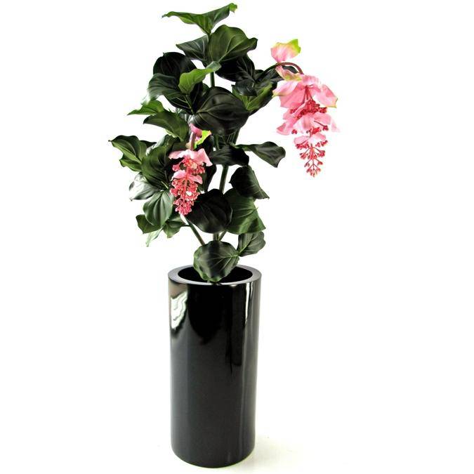 Medinella Deluxe 90cm