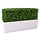 Buxus Heg de luxe 80 x 27 cm