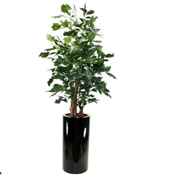 Fishtail Palm XL Deluxe 190cm