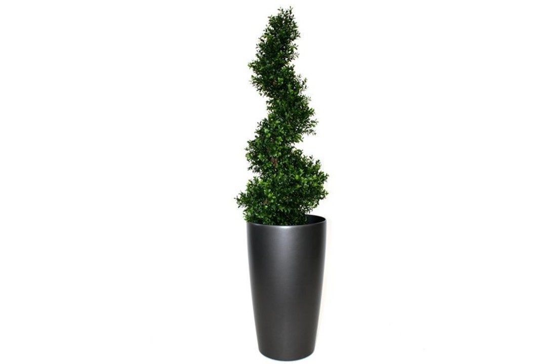 Buksus Spiraalboom Deluxe 100cm