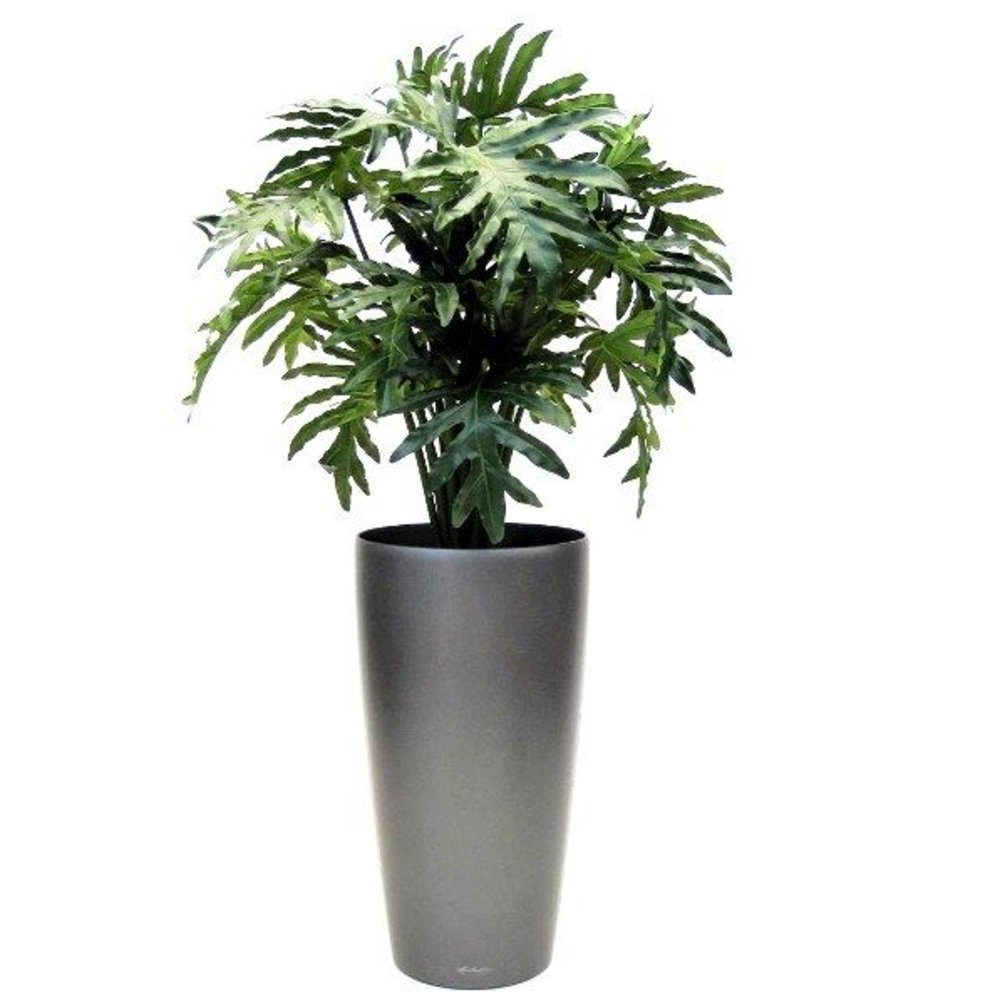 Philo Selloum x20 100cm - Kunstplanten.nl B.V.