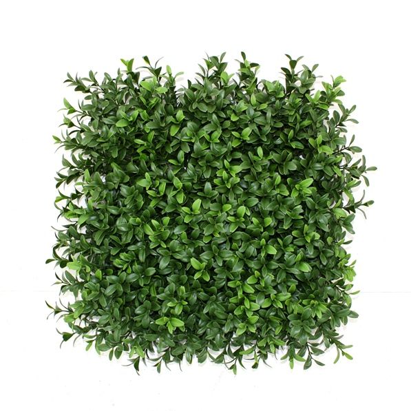 Buxus matje x300