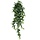 Ruscus Hangplant 125cm