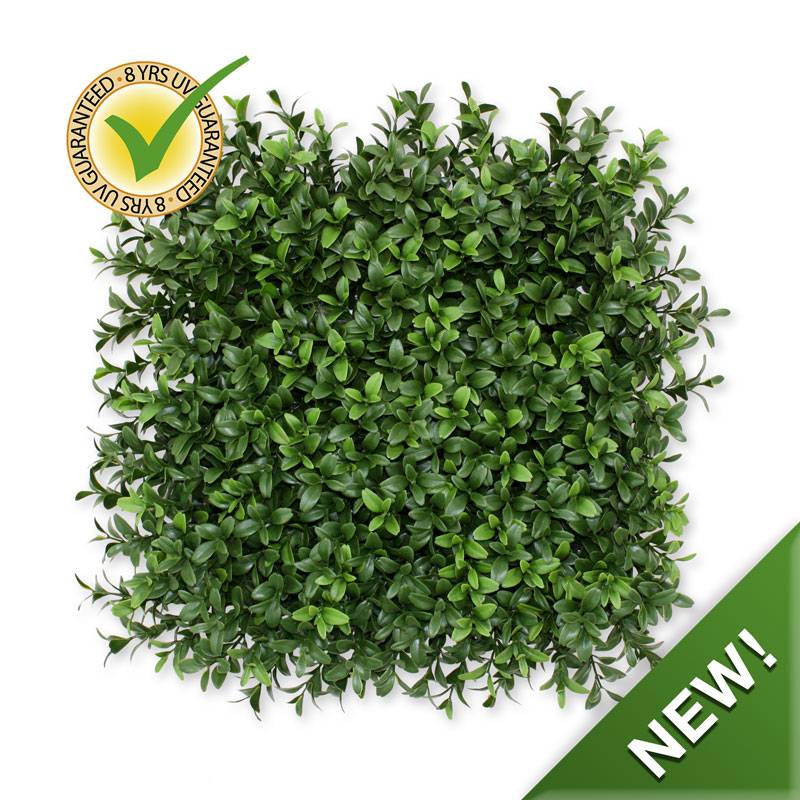 Buxus matje x300 UV