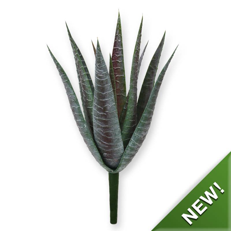 Aloë Boeket 30 cm