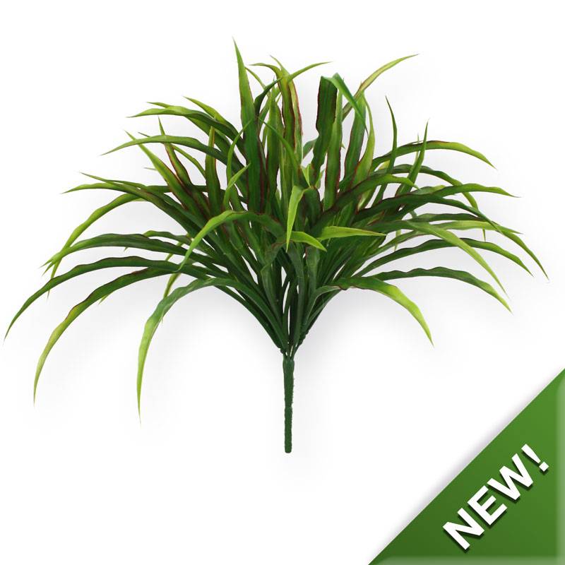 Draceana boeket 25 cm rood groen