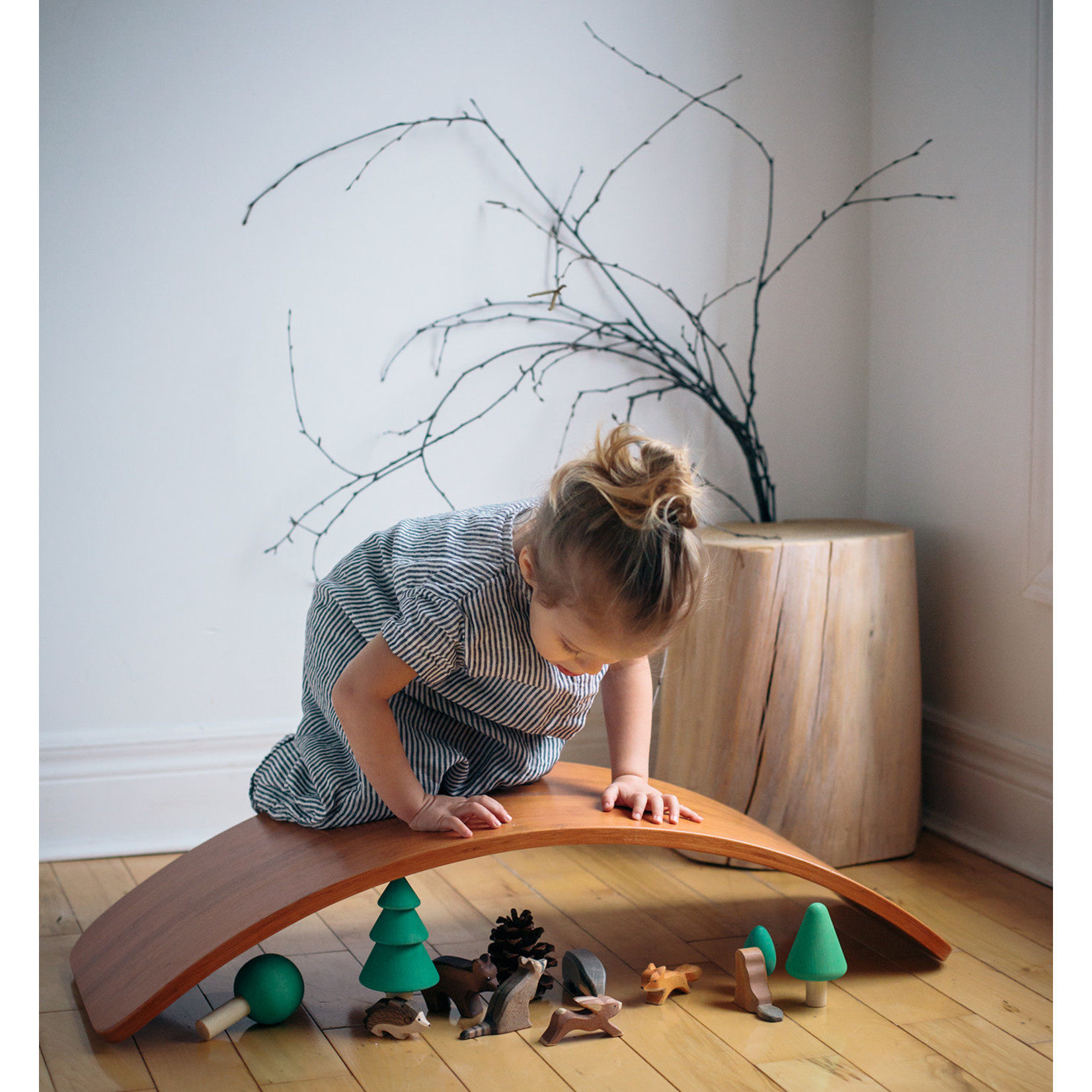 Balance Board