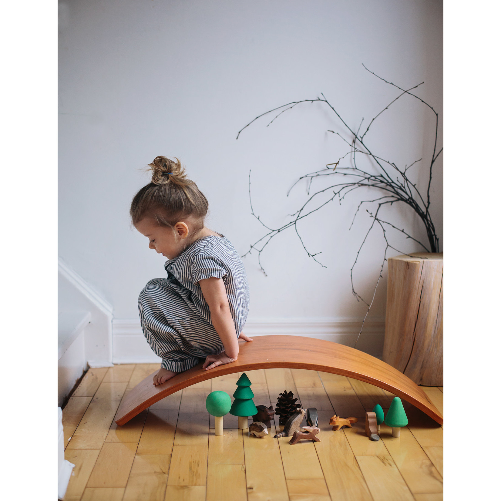Balance Board