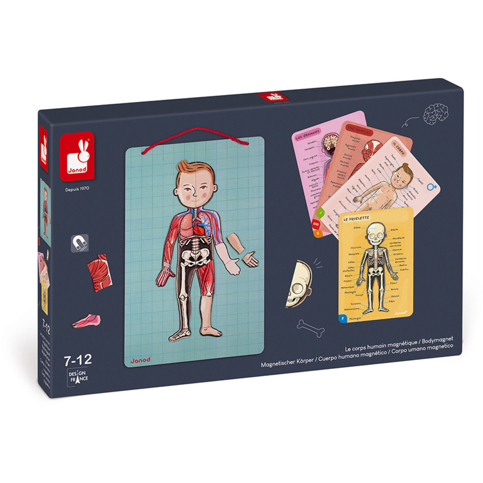 Janod Magneetspel - Het Menselijk Lichaam