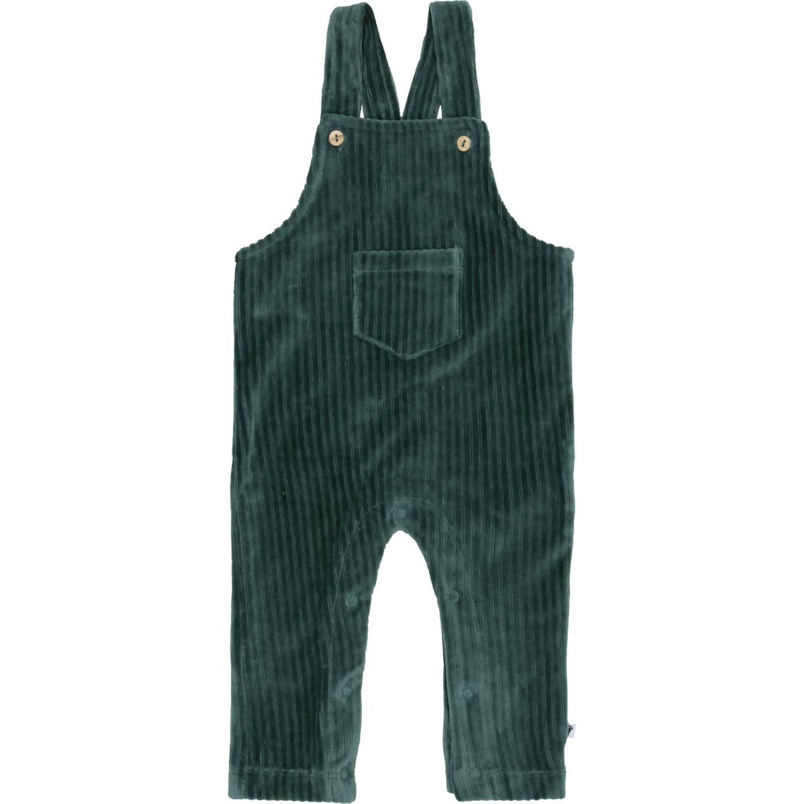Klein Babykleding Salopette Velours Posy Green