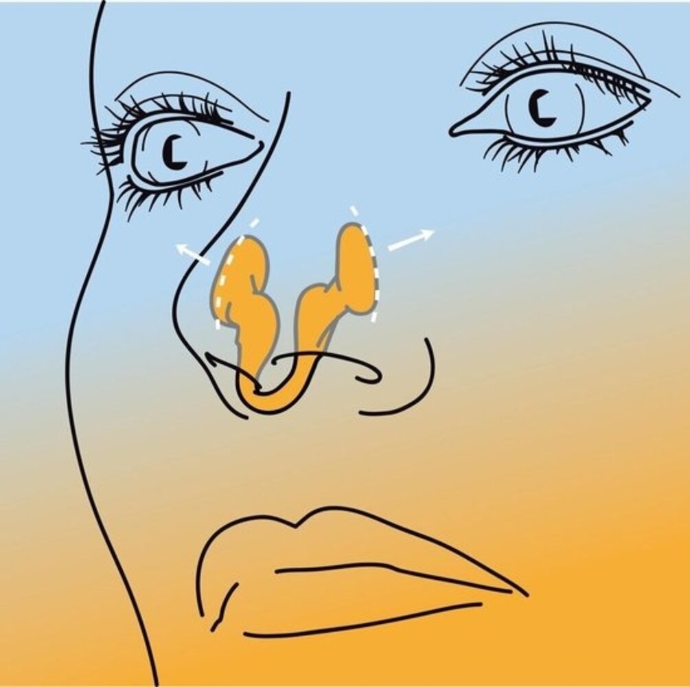 Airmax Airmax Neusklem Classic Small 2 Pack